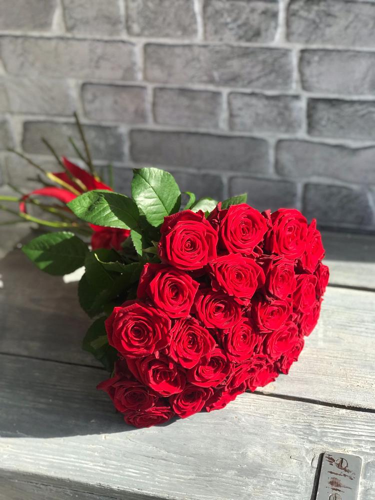 Букет Красные розы Фридом в Пущино