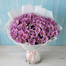 Букет цветов из:  Хризантемы #REPLACE_PRED# Пущино