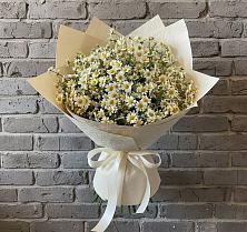Букет цветов из:  Ромашки #REPLACE_PRED# Пущино