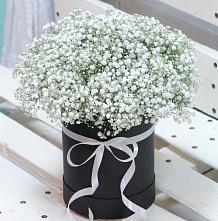 Цветочная композиция из Гипсофила в шляпной коробке #REPLACE_PRED# Пущино