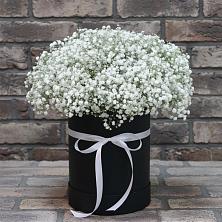 Цветочная композиция из Гипсофила в шляпной коробке в Пущино